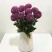 雏菊