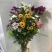 雏菊
