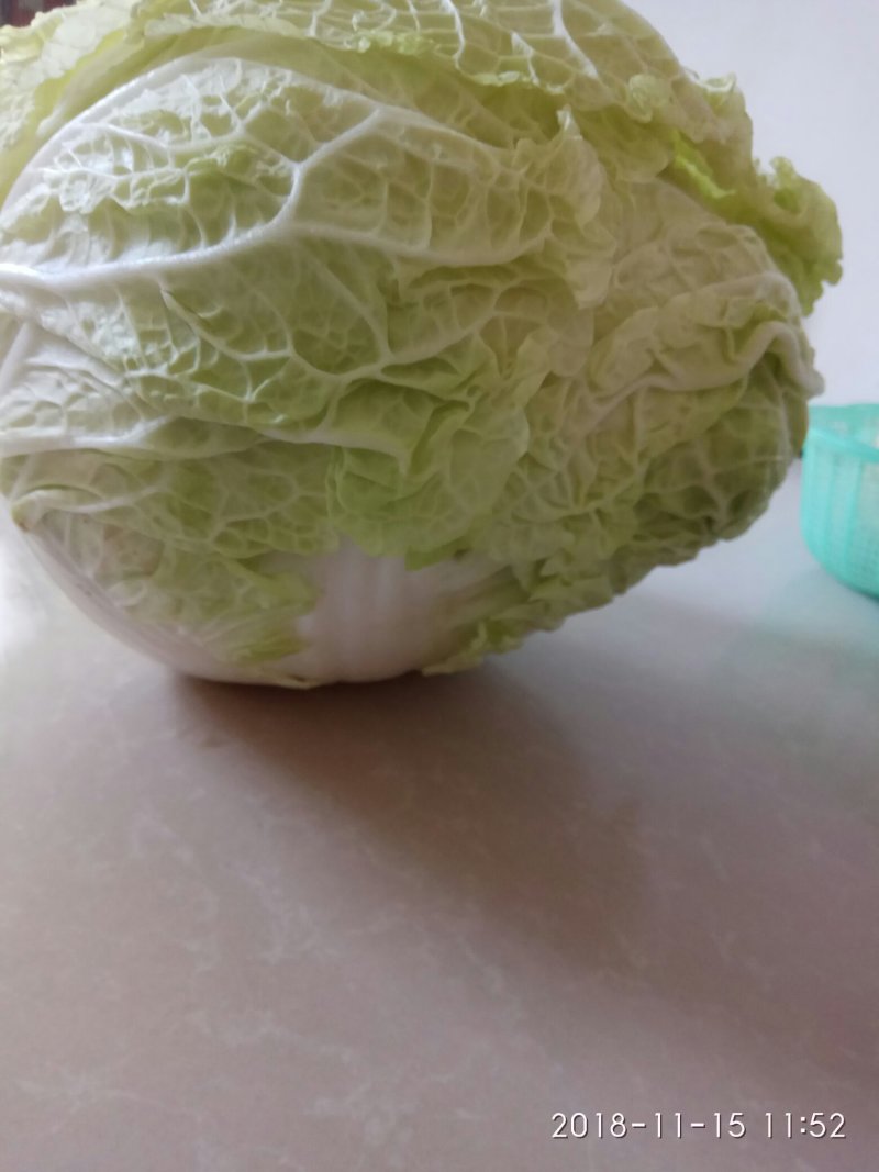 白菜叶多不老化污染蔬菜
