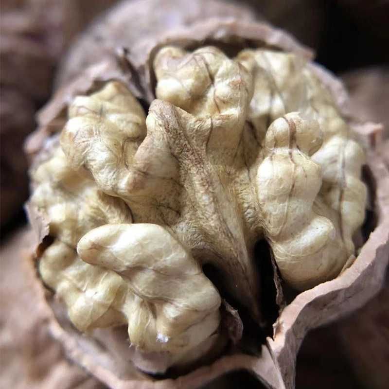 包邮核桃