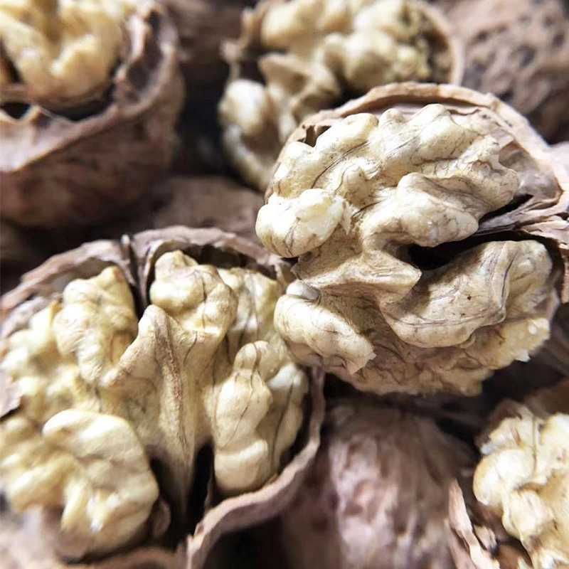 包邮核桃