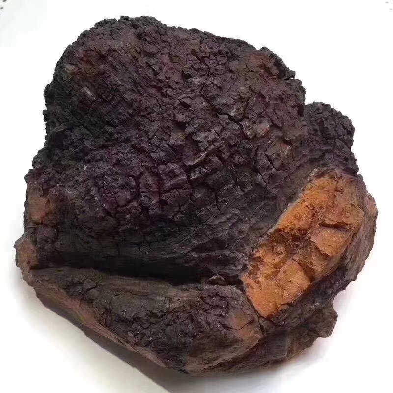 吉林东北特产桦树茸，500g，十五年以上，