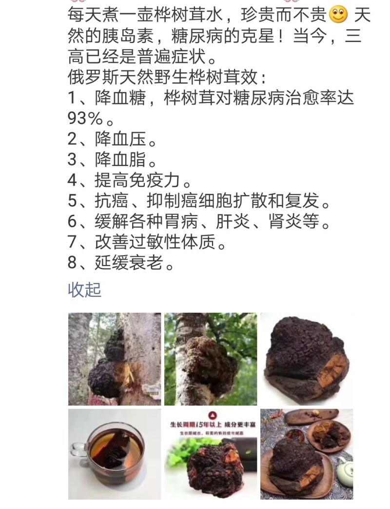 吉林东北特产桦树茸，500g，十五年以上，