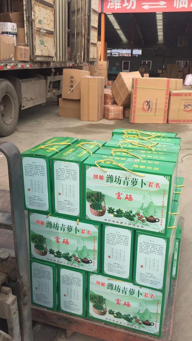 正宗潍县青萝卜口感脆甜，货源充足，大量供应