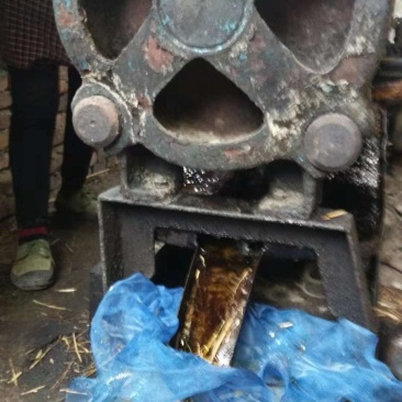 山茶油