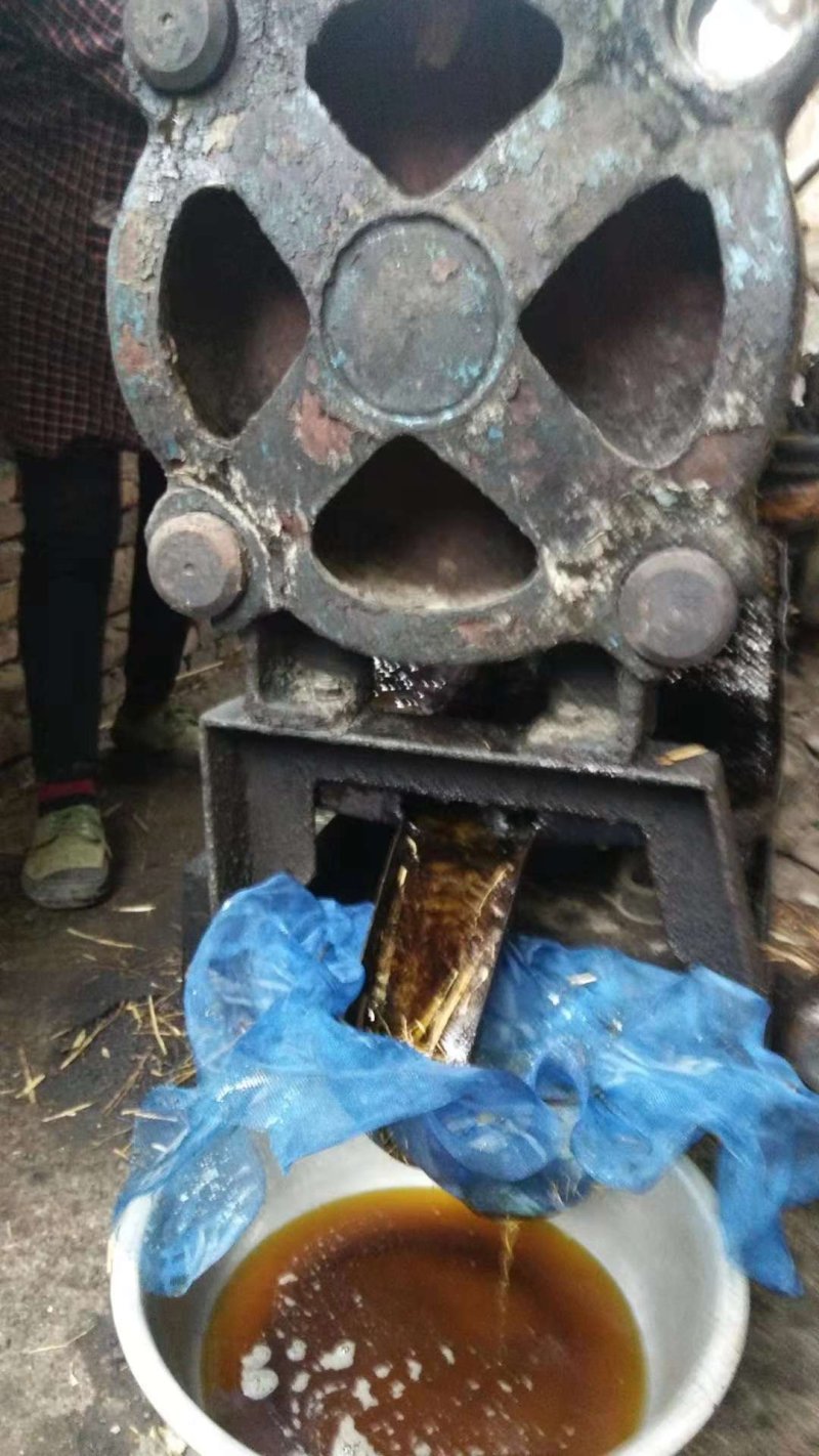 山茶油