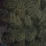 纯天然干豆角丝