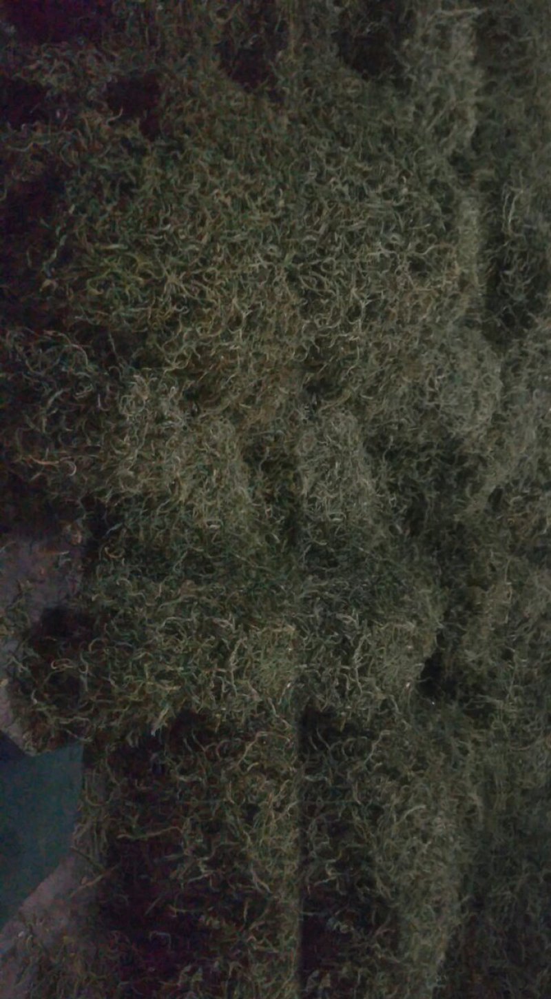 纯天然干豆角丝