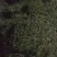 纯天然干豆角丝