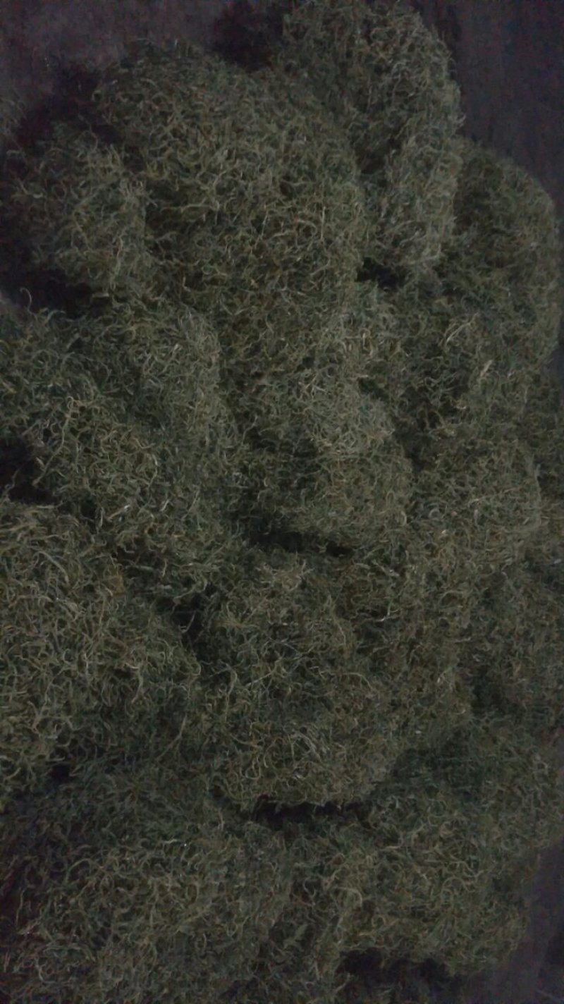 纯天然干豆角丝