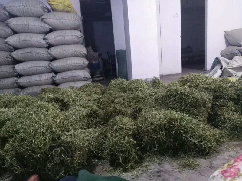 纯天然干豆角丝