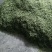 纯天然干豆角丝