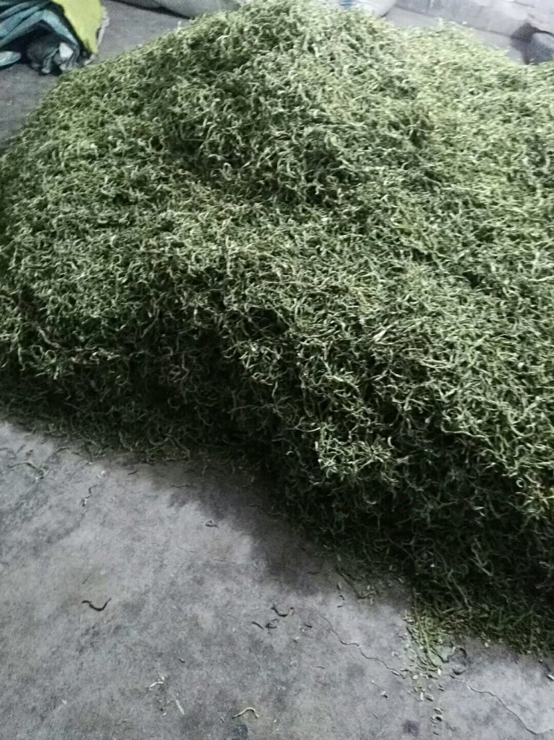 纯天然干豆角丝