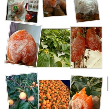 陕西富平柿饼
