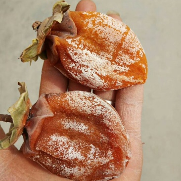 正宗富平柿饼