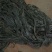 福建海带是一种营养价值高的蔬菜