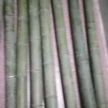 楠竹哥