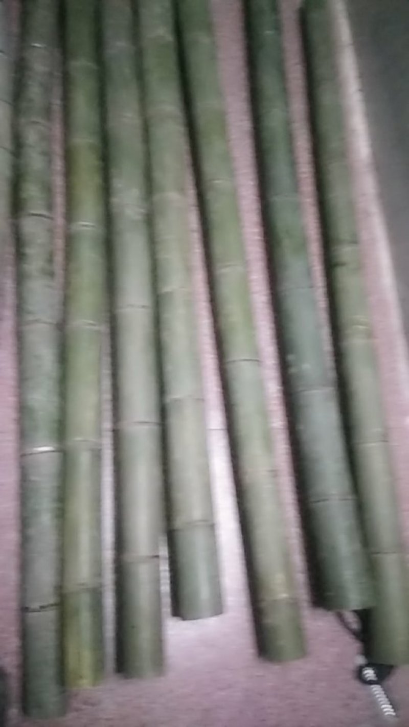 楠竹哥