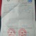 香樟，樟树大小叶，光杆全冠骨架，2到18公分，一棵包邮