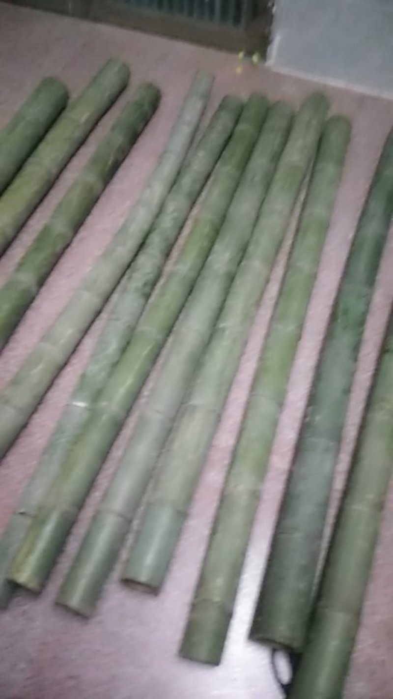 楠竹