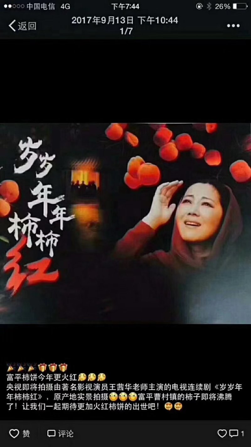 柿饼
