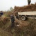 【桃树苗】苗圃直供优质桃树苗基地直供现挖现发