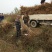 【桃树苗】苗圃直供优质桃树苗基地直供现挖现发
