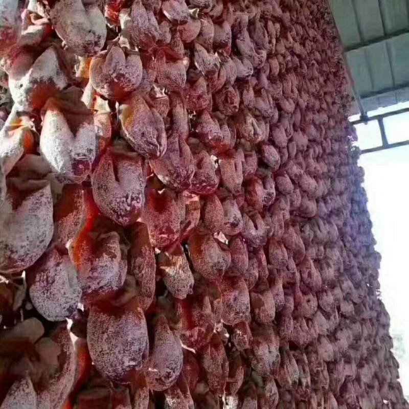 富平吊柿富平特级柿饼