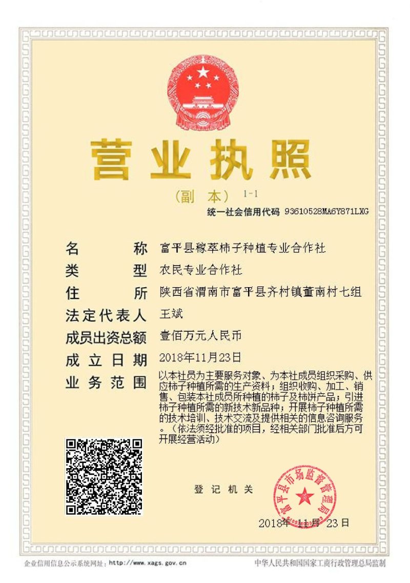 批发正宗富平柿饼，