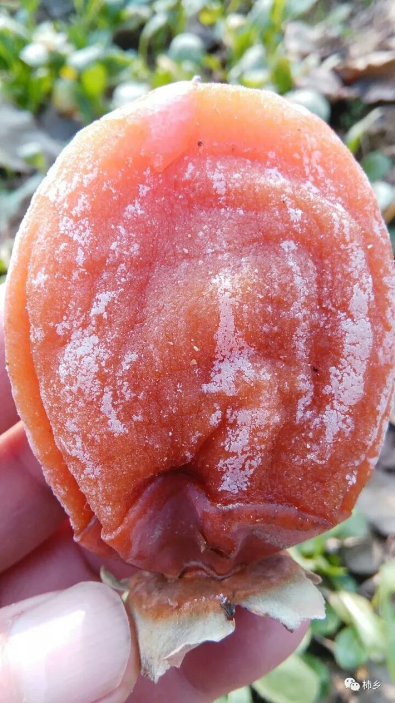 柿饼
