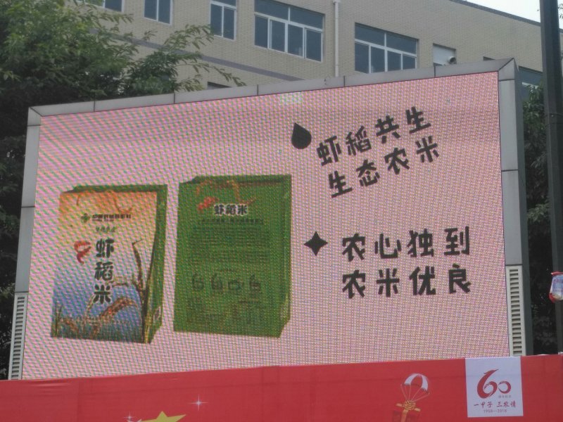 虾稻米
