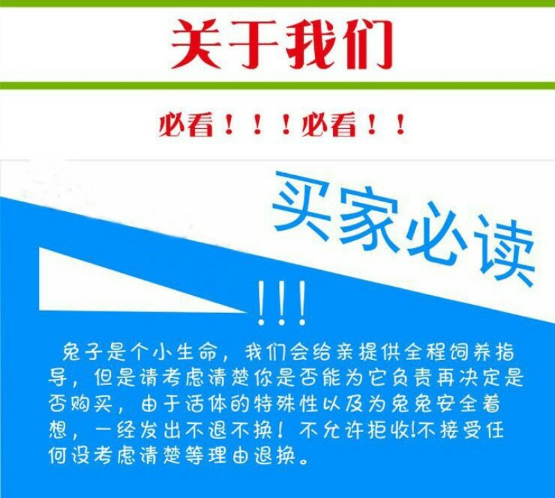 出售仔兔，成年兔子，肉兔。宠物兔