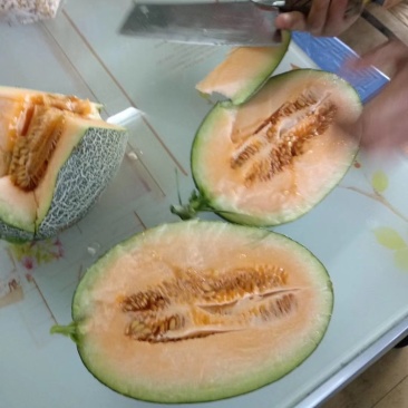 西州密3斤起步