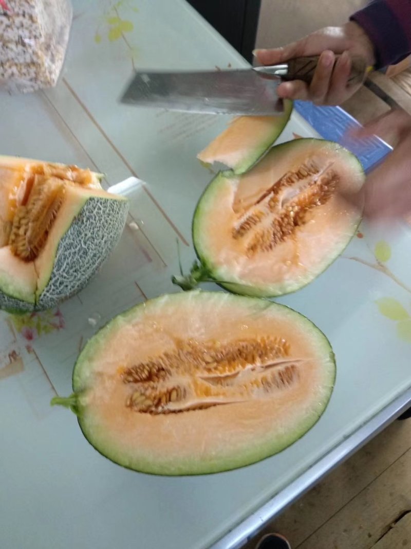 西州密3斤起步