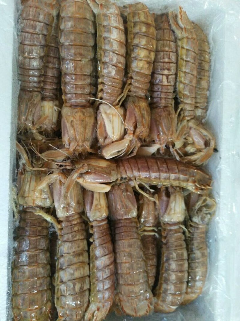 各种无盐虾皮，大虾，皮皮虾