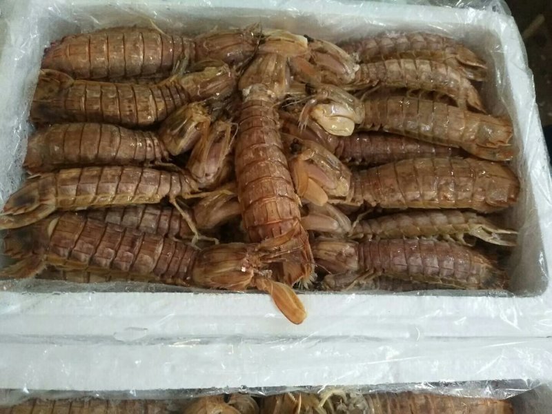 各种无盐虾皮，大虾，皮皮虾