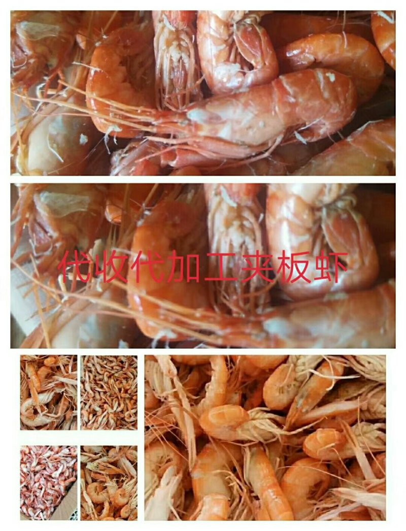各种无盐虾皮，大虾，皮皮虾