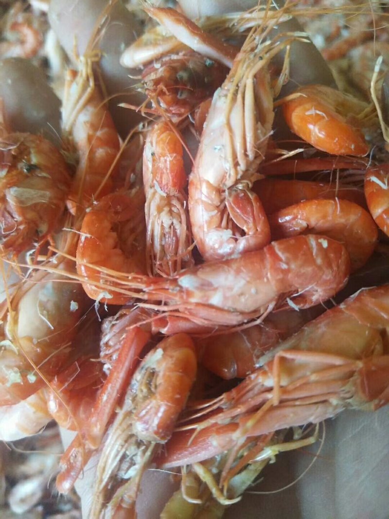各种无盐虾皮，大虾，皮皮虾