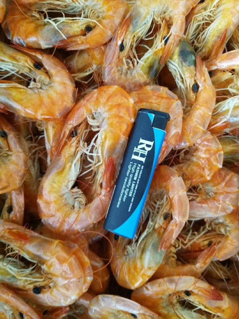 各种无盐虾皮，大虾，皮皮虾