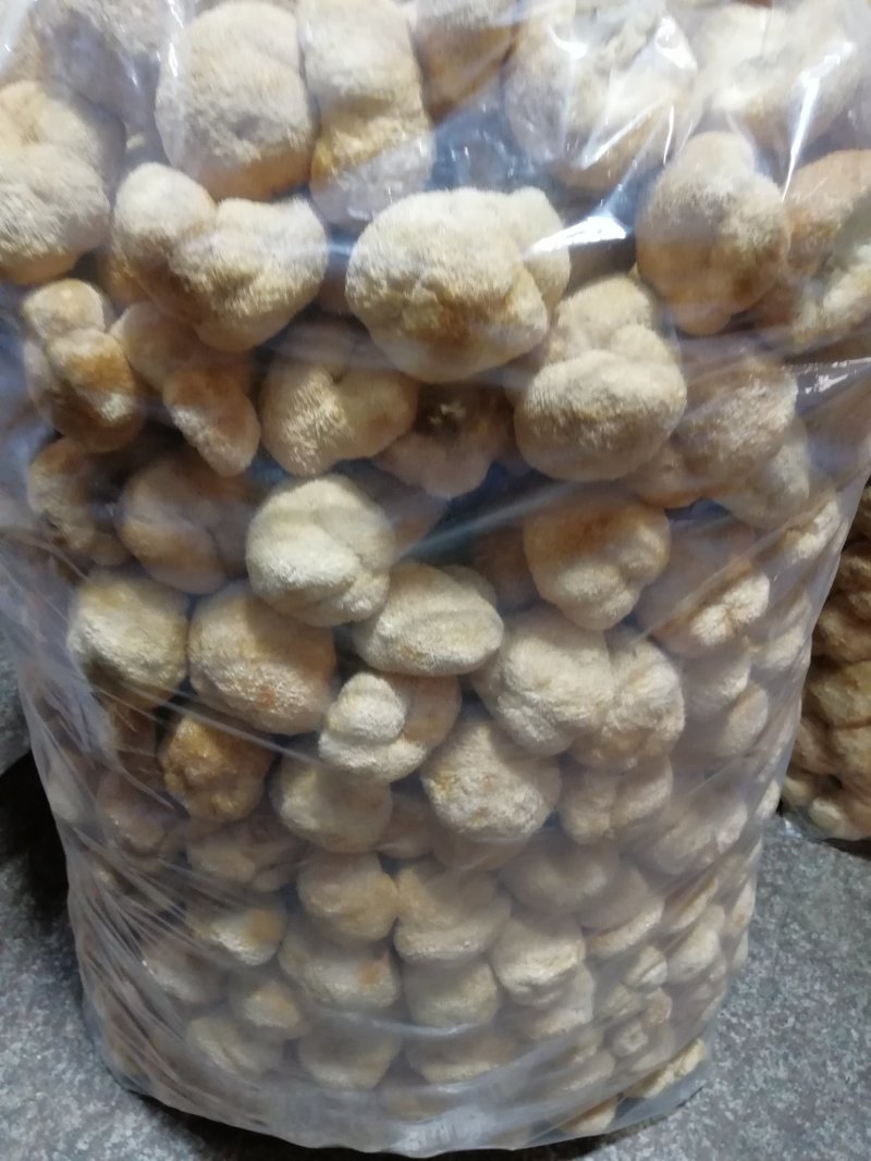 原产地厂家直销干猴头菇猴头菇干货货源充足包售后