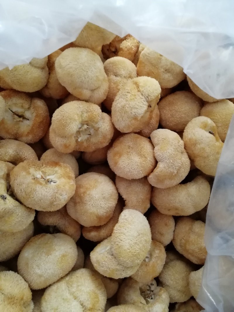 原产地厂家直销干猴头菇猴头菇干货货源充足包售后