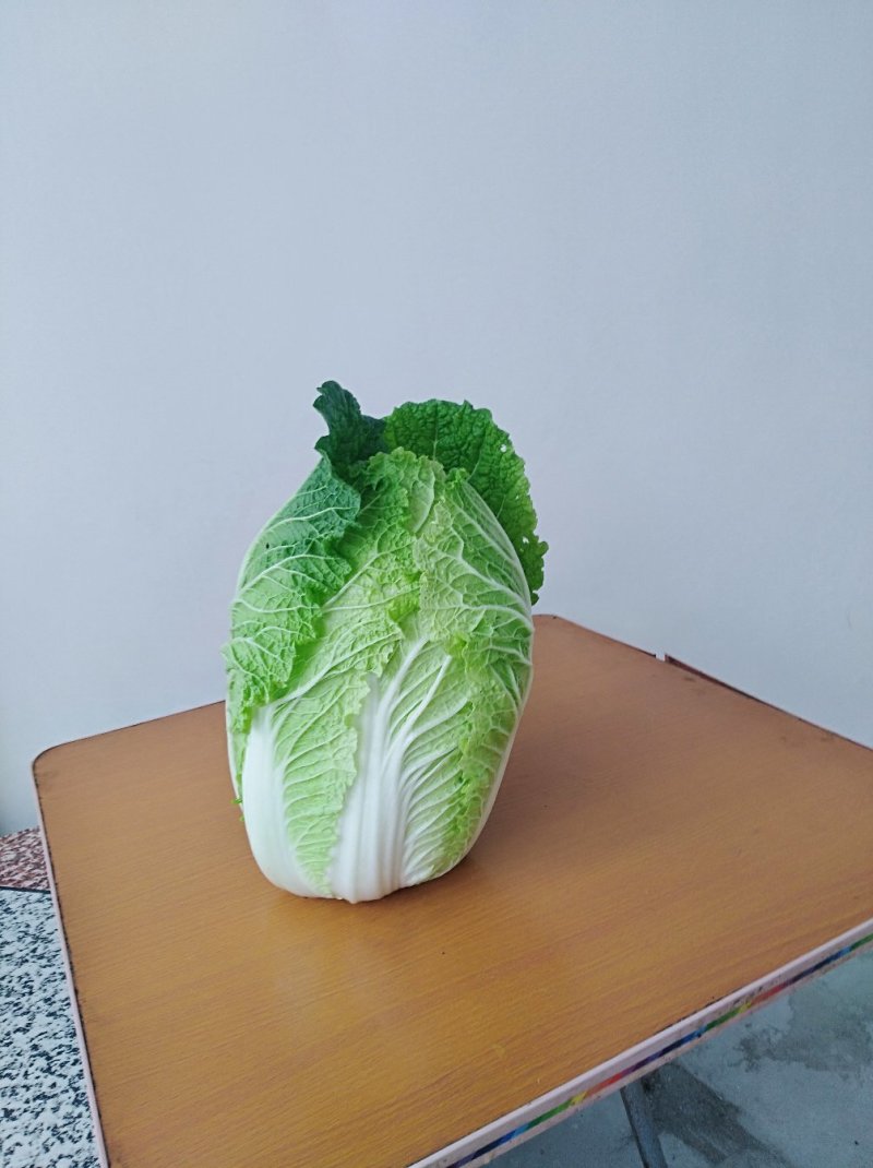 精品黄心大白菜3一6斤，面积大，货量多，质量好