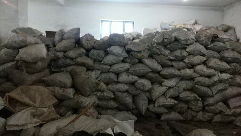 俄罗斯野生桦树茸长期十斤起批发一袋500克