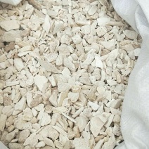 正品龙骨，水洗龙骨，包化验批发零售量大从优