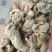三七（田七），水洗三七不抛光不打蜡颜色靓干度好可免费打粉