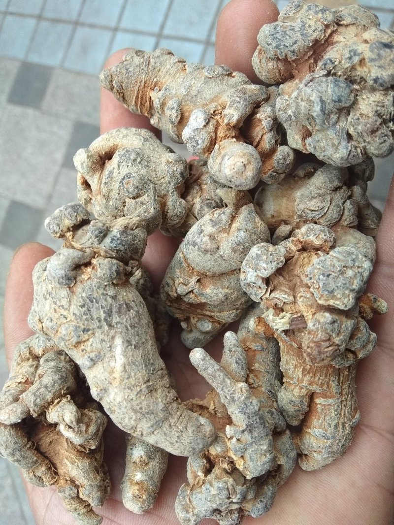 三七（田七），水洗三七不抛光不打蜡颜色靓干度好可免费打粉