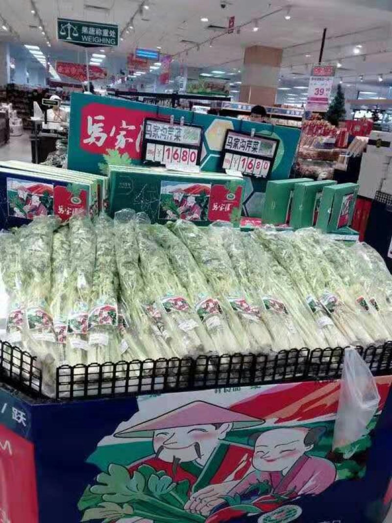 马家沟牌有机空心芹菜