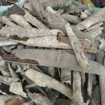 救必应，产地现货供应，进口与国产货均有，货干度好颜色漂亮