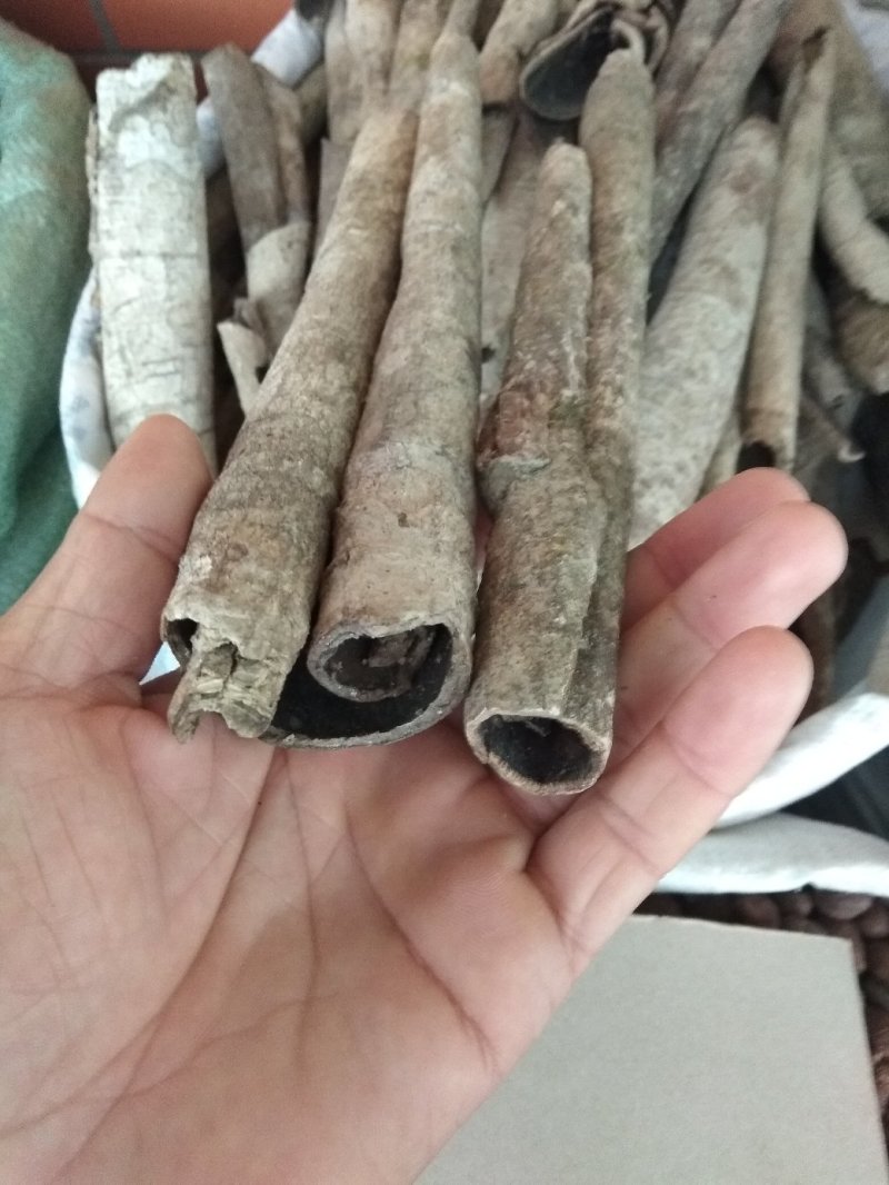 救必应，产地现货供应，进口与国产货均有，货干度好颜色漂亮