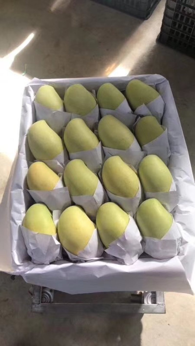 玉芒包邮八斤49
